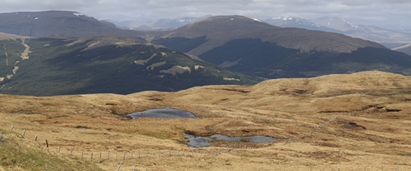 Glen Orchy from Fiarach